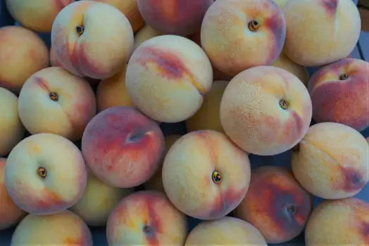 Ripe Peaches in Circular Arrangement fruit market stall