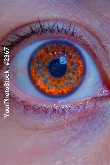 Close-up of deep blue eye with bright orange iris