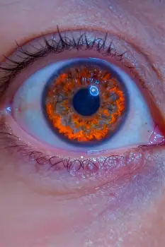 Close-up of deep blue eye with bright orange iris