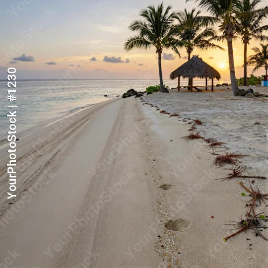Sunset Beach with Palm Trees and Thatched Hut