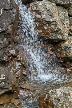 Waterfall Nature Movement