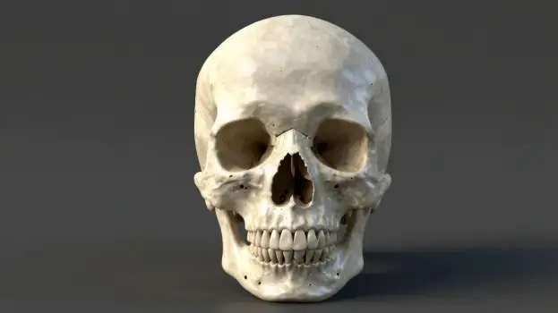 Skull with a smiley face 3d render