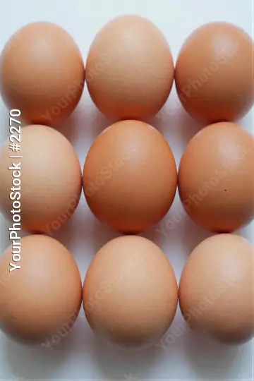 Nine Brown Eggs Arranged on White Surface grid