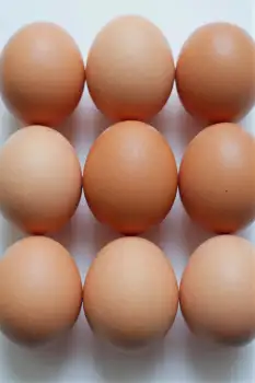 Nine Brown Eggs Arranged on White Surface grid