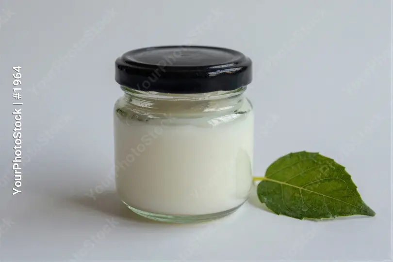 White Yogurt Jar with Green Leaf cream plain background