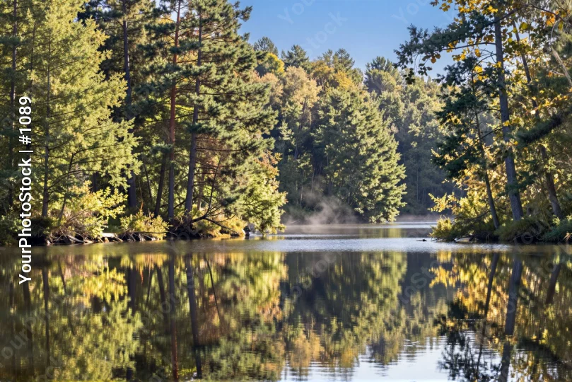 Autumn Lake Reflections in Calm Forest trees green
