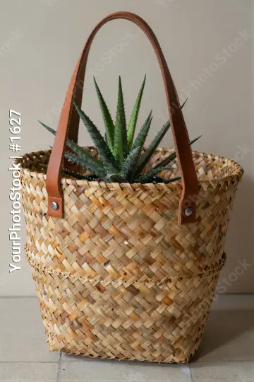Woven Basket with Aloe Vera Plant handle leather