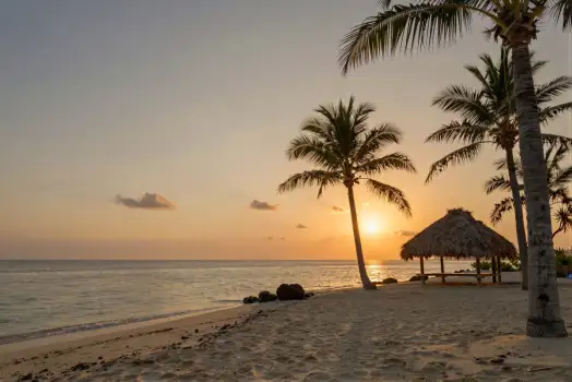Sunset Beach Scene with Palm Trees and Hut thatched roof hut