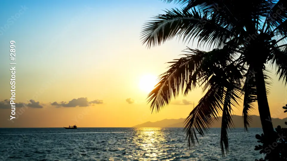 Sunset Beach Scene with Palm Trees vacations travel