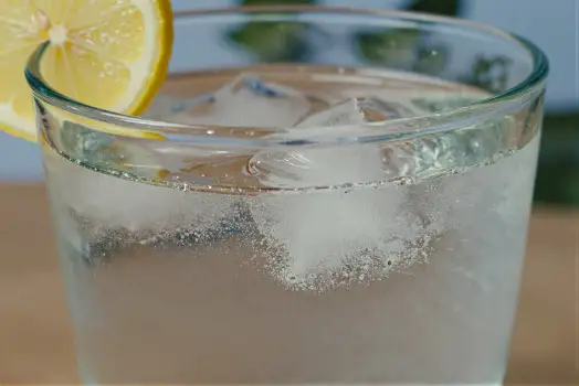 Close-up of Glass Water with Ice Cubes and Lemon Slice