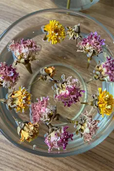 Dried Flowers in Pink, Yellow, Purple Bowl arrangement