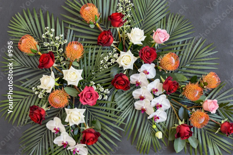 Circular Flower Arrangement with Roses and Proteas