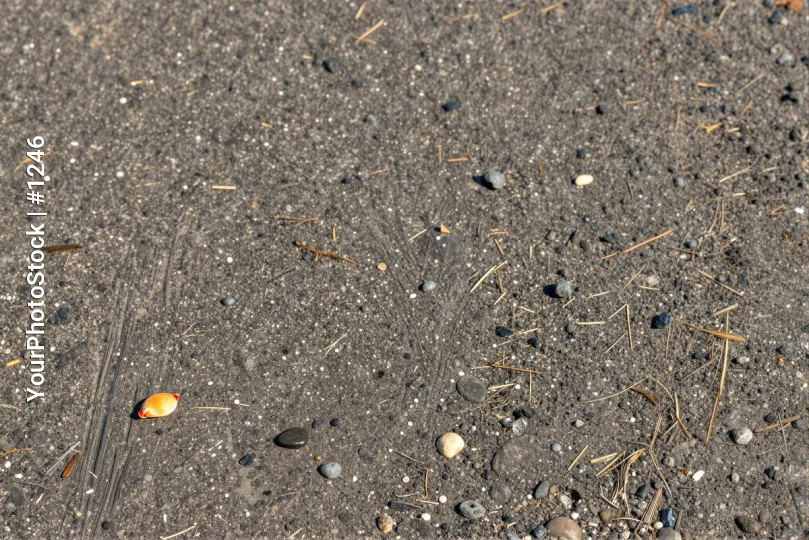 Close-up of Dark Grey Gravel Surface with Dried Grasses and Twigs
